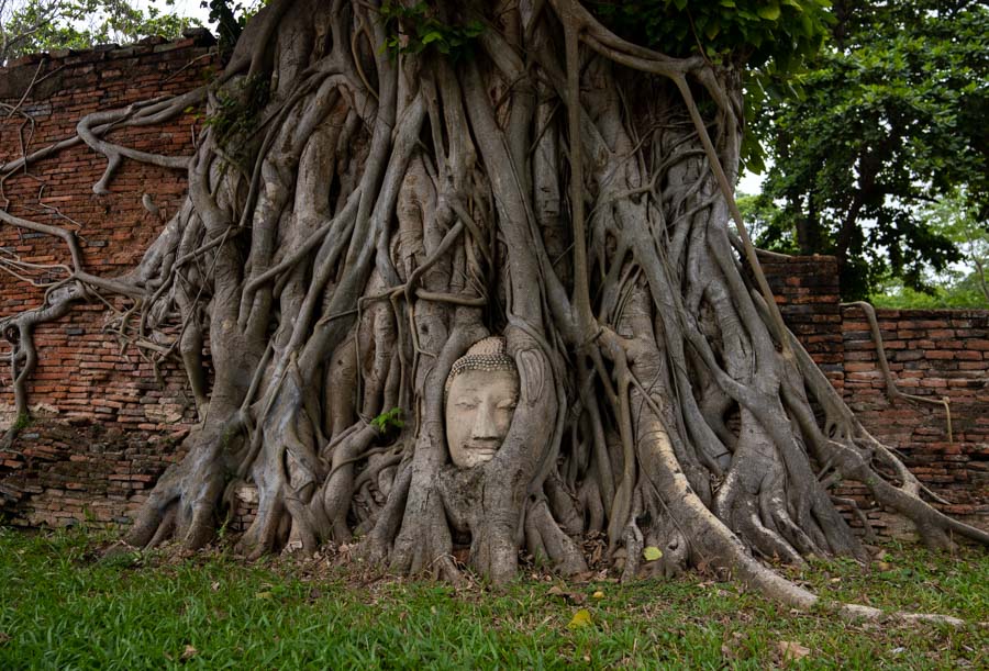Famous Buddha head embedded in roots of a tree - Ayutthaya Day Trip