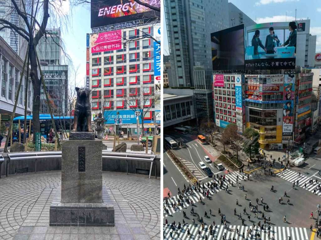 Hachiko Statue and Shibuya Crossing  - Tokyo Itinerary