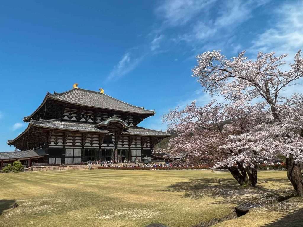 Tōdai-ji - Kyoto and Osaka Itinerary
