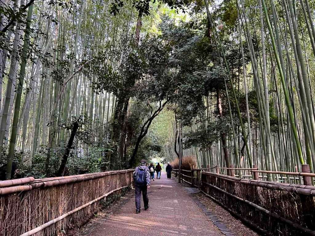 Arashiyama Bamboo Forest - Kyoto and Osaka Itinerary