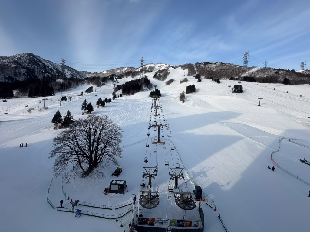 View from room, Naeba Prince Hotel